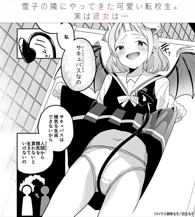 サキュバスの百合な話