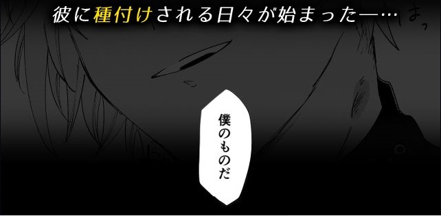 再召喚された元聖女は護衛騎士に囚われる